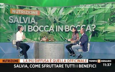 Parliamo di Salvia direttamente dagli studi Rai1 di Saxa Rubra