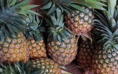 Tre curiosità sull’ananas