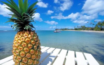 Ananas: un frutto per tutte le stagioni